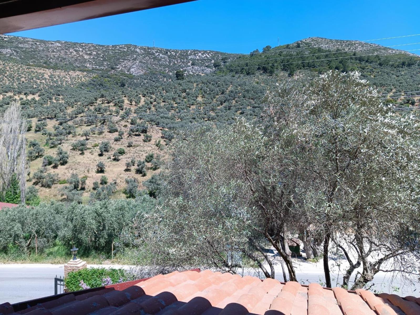 Sirince Klaseas Hotel&Restaurant Selçuk Exteriör bild
