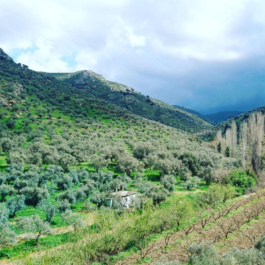 Sirince Klaseas Hotel&Restaurant Selçuk Exteriör bild